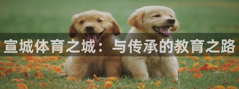 球速体育