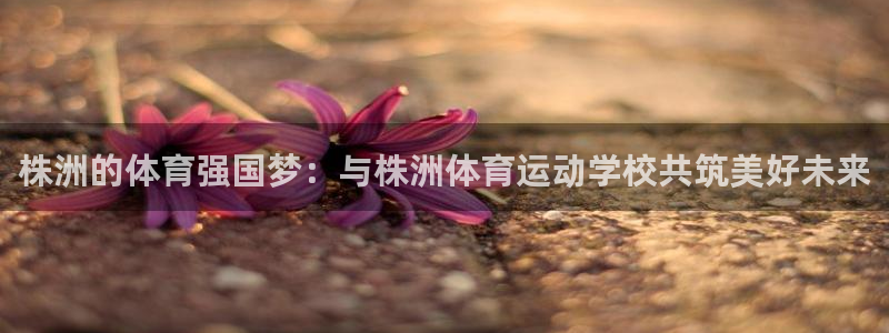 球速体育