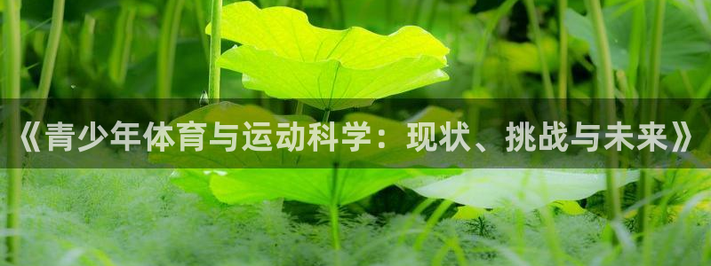 球速体育