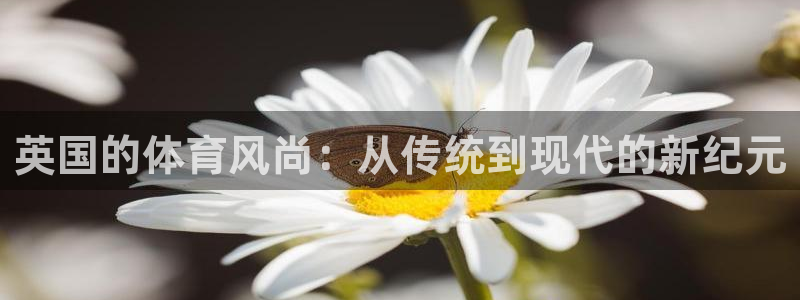 球速体育