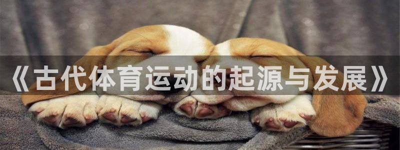 球速体育