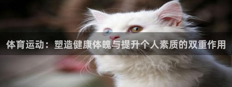 球速体育