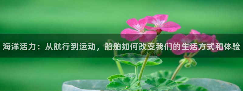 球速体育
