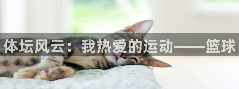 球速体育